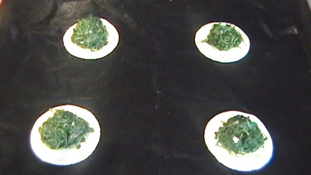 Luxusný hubový Wellington (fotorecept) - obrázok 7