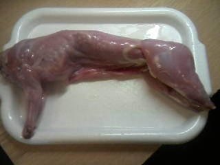 Králik pečený na rozmaríne (fotorecept) - obrázok 1