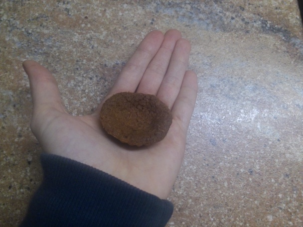 Medvedie labky - obrázok 6