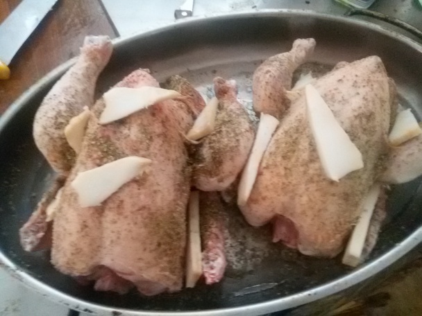 Baby kura na majoráne so slaninou (fotorecept) - obrázok 1