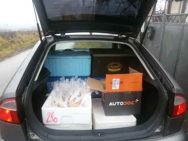 Vianočná večera - kapustnica, vyprážaná ryba a zemiakový šalát - obrázok 10