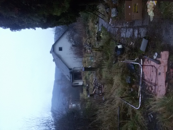 Vianočná večera - kapustnica, vyprážaná ryba a zemiakový šalát - obrázok 11