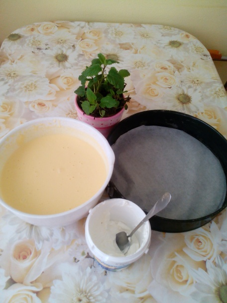 Tvarohová torta s čučoriedkami bez múky (fotorecept) - obrázok 3