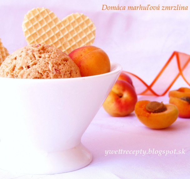 Čokoládová zmrzlina  - obrázok 6