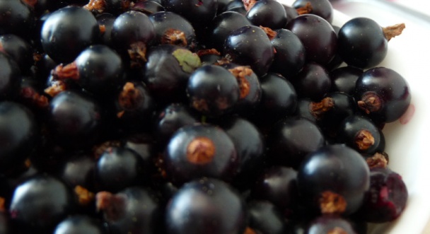 Džem z čiernych ríbezlí (fotorecept) - obrázok 1