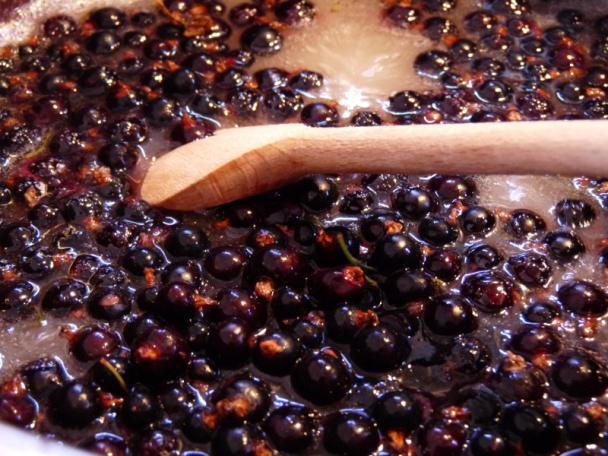 Džem z čiernych ríbezlí (fotorecept) - obrázok 3