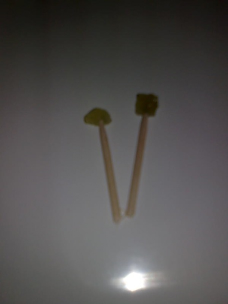 Zábavní slimáci (fotorecept) - obrázok 6