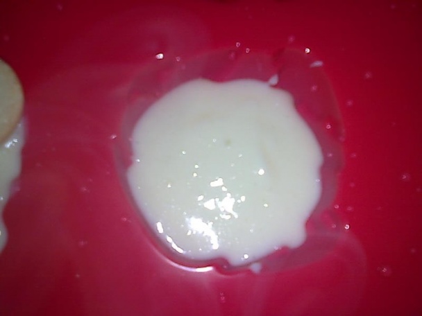 Pudingová ruža s prekvapením (fotorecept) - obrázok 2