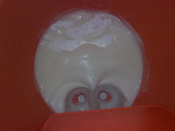 Slimáci na úteku (fotorecept)  - obrázok 2