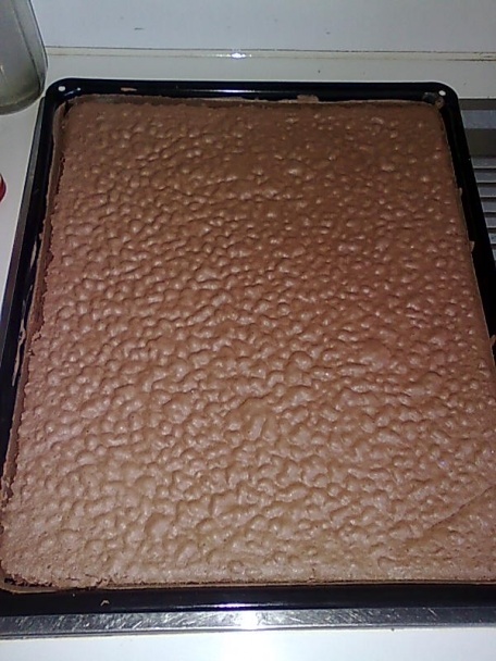 Slimáci na úteku (fotorecept)  - obrázok 8