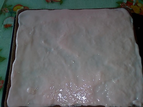 Slimáci na úteku (fotorecept)  - obrázok 9