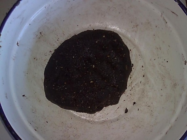 Kokosový orech (fotorecept) - obrázok 5