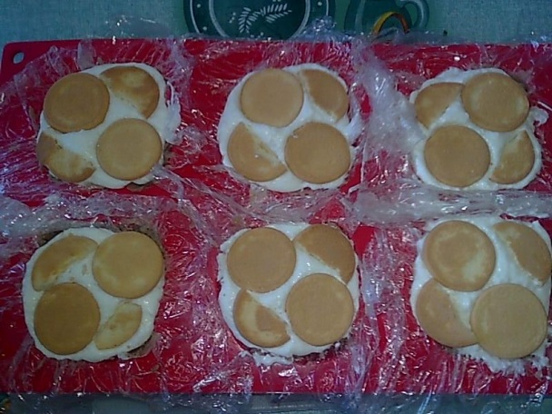 Gaštanová ruža (fotorecept) - obrázok 9