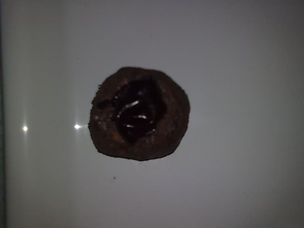 Gaštanové pralinky (fotorecept) - obrázok 8