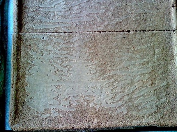 Sirôtka ako zákusok (fotorecept) - obrázok 13