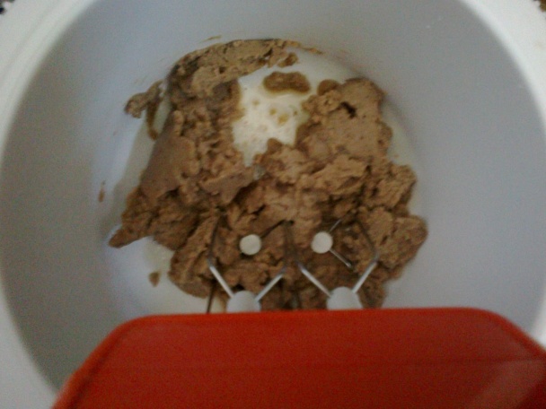 Gaštanový tunel (fotorecept) - obrázok 5