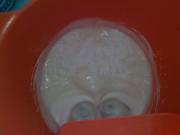 Červený grep ako zákusok (fotorecept) - obrázok 1