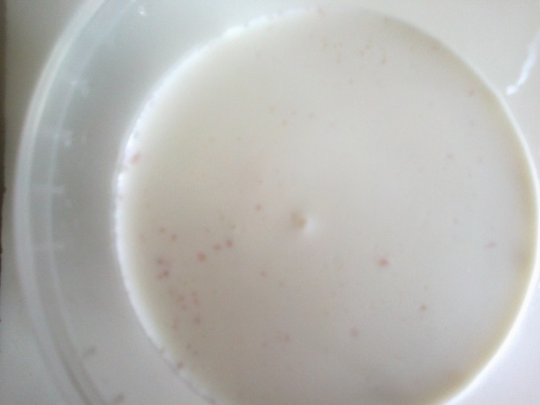 Domáca zmrzlina z mliečnej ryže s višňovou príchuťou (fotorecept) - obrázok 2