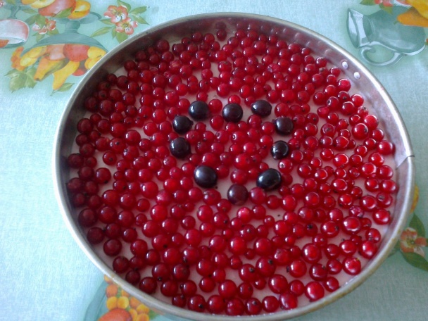 Tvarohová torta s ríbezľami (fotorecept) - obrázok 6