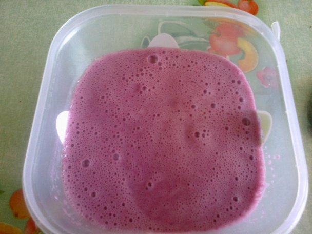 Domáca zmrzlina z čučoriedkového džemu (fotorecept) - obrázok 1