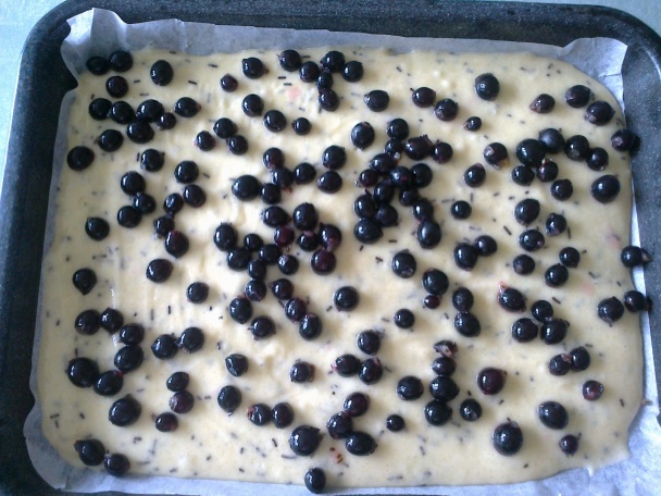 Bleskový jostový koláč (fotorecept) - obrázok 3