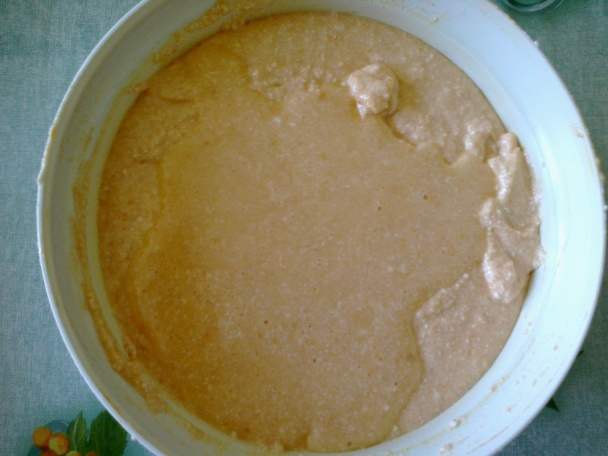 Tvarohovo marhuľová ruža (fotorecept) - obrázok 3