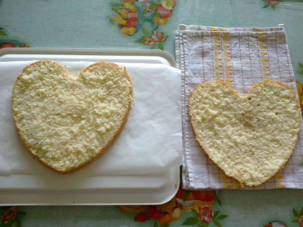 Torta (fotorecept) - obrázok 1