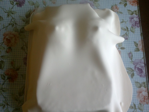 Torta ženské torzo (fotorecept) - obrázok 11