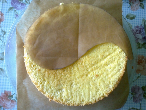 Slza z okruhlej formy (fotorecept) - obrázok 1