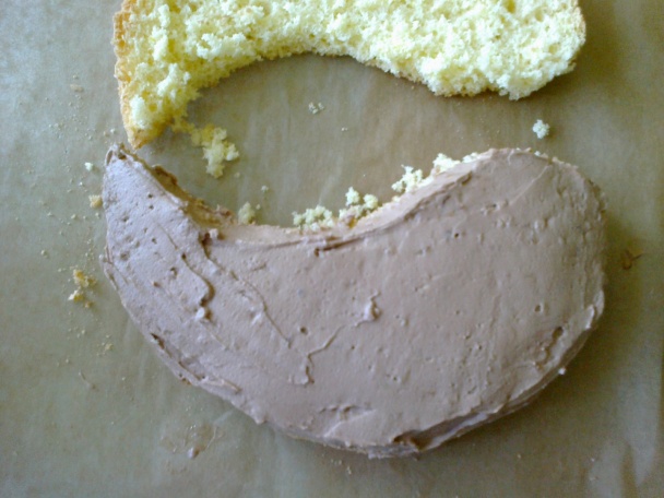 Slza z okruhlej formy (fotorecept) - obrázok 8