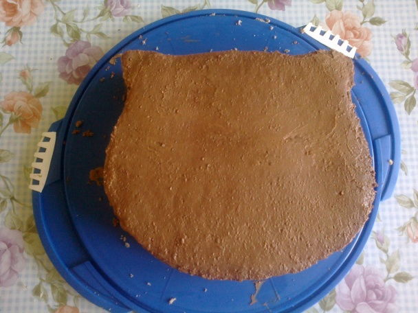 Torta Hello Kitty (fotorecept) - obrázok 6