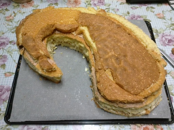 Torta sumec (fotorecept) - obrázok 7