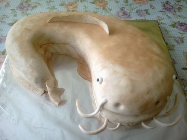 Torta sumec (fotorecept) - obrázok 14