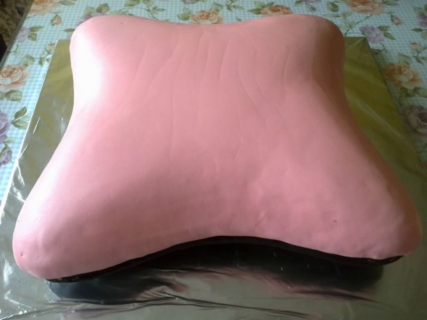 Torta vankúš pre neterku (fotorecept) - obrázok 9