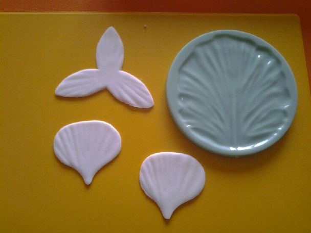 Orchidea na drôtiku (fotorecept) - obrázok 2