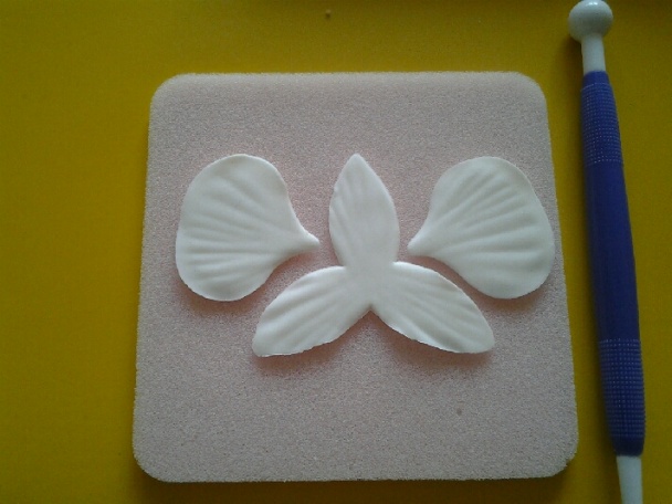 Orchidea na drôtiku (fotorecept) - obrázok 3