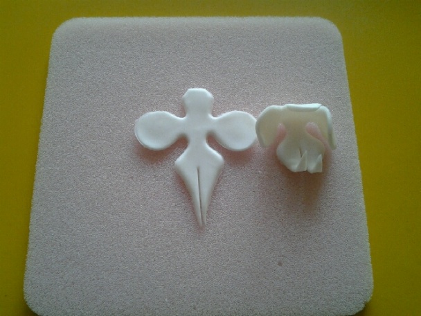 Orchidea na drôtiku (fotorecept) - obrázok 4