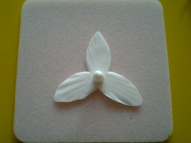 Orchidea na drôtiku (fotorecept) - obrázok 5