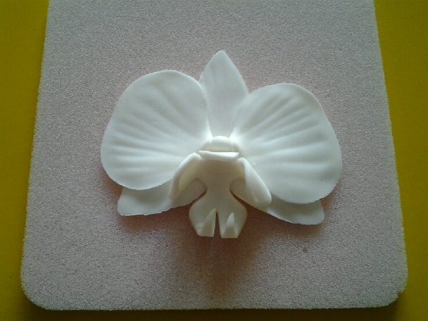 Orchidea na drôtiku (fotorecept) - obrázok 7