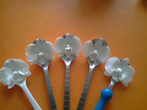 Orchidea na drôtiku (fotorecept) - obrázok 8