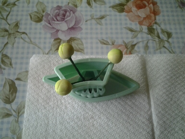 Orchidea na drôtiku (fotorecept) - obrázok 10