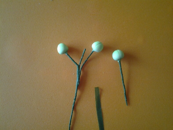 Orchidea na drôtiku (fotorecept) - obrázok 11