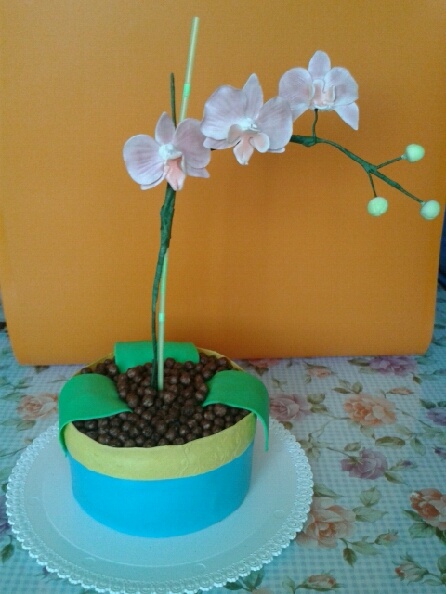 Orchidea na drôtiku (fotorecept) - obrázok 12