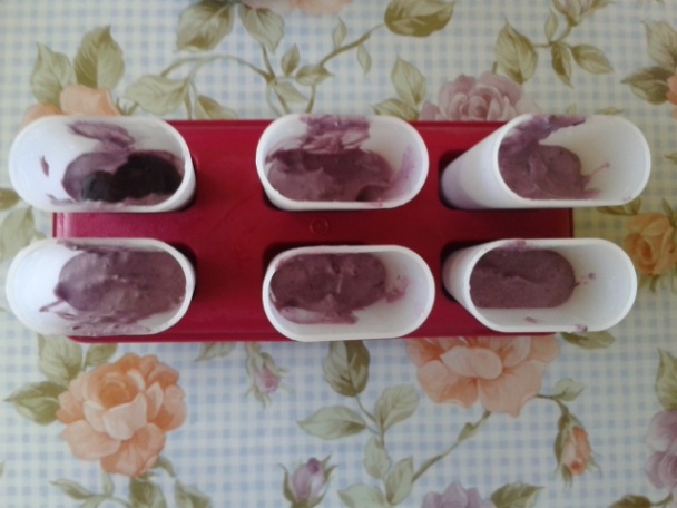 Domáci černicový nanuk (fotorecept) - obrázok 4