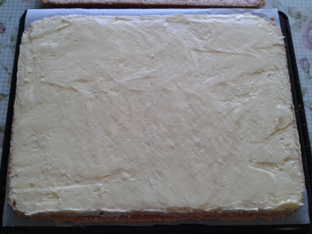 Vatové rezy (fotorecept) - obrázok 9