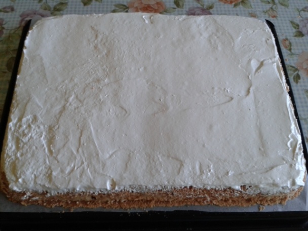 Vatové rezy (fotorecept) - obrázok 13