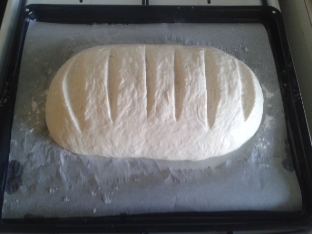 Taliansky biely chlebík (fotorecept) - obrázok 12