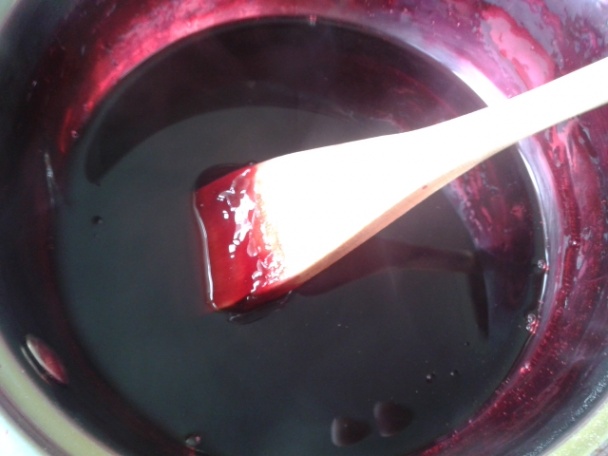 Čučoriedková fantázia (fotorecept)  - obrázok 1