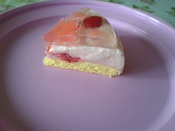 Malinové pokušenie (fotorecept) - obrázok 14