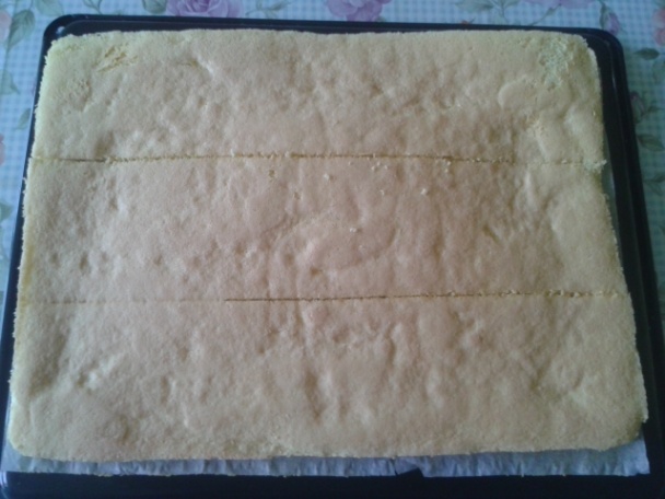 Katkine rezy (fotorecept)  - obrázok 5